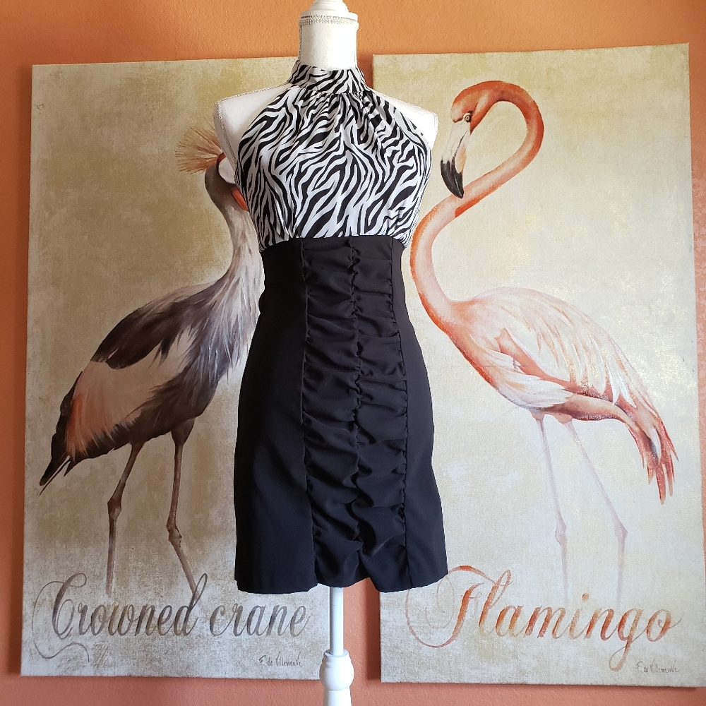 3/$25 Alyn Paige New York Animal Print Mini Dress Black White Tiger Zebra